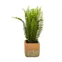 ARRANJO SAMAMBAIA KÉRAMOS - VERDE/TERRACOTA - Foto 3