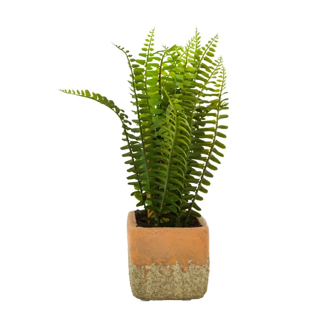 ARRANJO SAMAMBAIA KÉRAMOS - VERDE/TERRACOTA - Foto 3