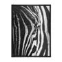 QUADRO 83 CM X 63 CM  ZEBRADO - PRETO/BRANCO - Foto 1