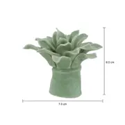 ADORNO 8 CM PLANTINHA - SÁLVIA - Foto 4