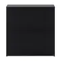SAPATEIRA 2 PORTAS BASCULANTES BOOZ - PRETO - Foto 1