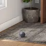 BOLINHA ACESSÓRIO PARA PET BOOMER - KONKRET - Foto 7