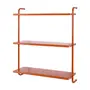 ESTANTE DE PAREDE 83 CM X 97 CM WALL TECH - TERRACOTA/TERRACOTA - Foto 2