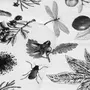 436728_OK_V09.png