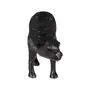 ADORNO 12 CM TAZAMA - PRETO DESGASTADO - Foto 3