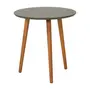 MESA LATERAL REDONDA 45 CM TRIWOOD - NOZES/MUSGO - Foto 2