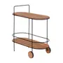 CARRINHO FLOREIRA 74 CM X 38 CM SOW - PRETO/EUCALIPTO - Foto 2