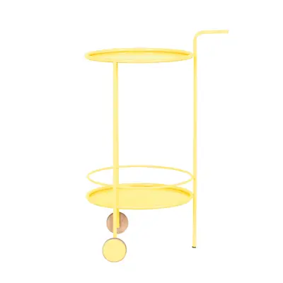 CARRINHO/FLOREIRA 53 CM X 42 CM POTTY