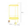 CARRINHO/FLOREIRA 53 CM X 42 CM POTTY - LIMÃO SICILIANO - Foto 7