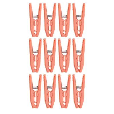 PRENDEDOR CONJUNTO COM 12 PEÇAS TWIG