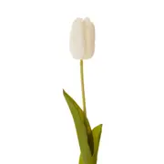 FLOR MIA TULIPA - BRANCO/VERDE - Foto 1