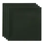 GUARDANAPO DE TECIDO 40 CM X 40 CM CONJUNTO COM 4 SPLENDID - VERDE - Foto 1