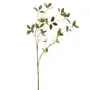 FOLHAGEM OLMO - VERDE - Foto 1