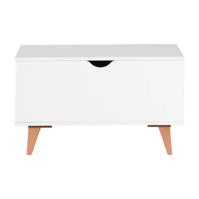 BAÚ 70 CM X 35 CM LIN
