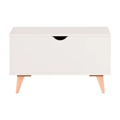 BAÚ 70 CM X 35 CM LIN
