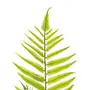 PALMEIRA FOLHAGEM - VERDE - Foto 3