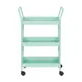 CARRINHO 51 CM X 33 CM OLLE - SORBET DE MENTA - Foto 1