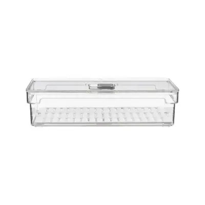 ORGANIZADOR COM TAMPA 30 CM X 15 CM PRACTICAL FRIDGE