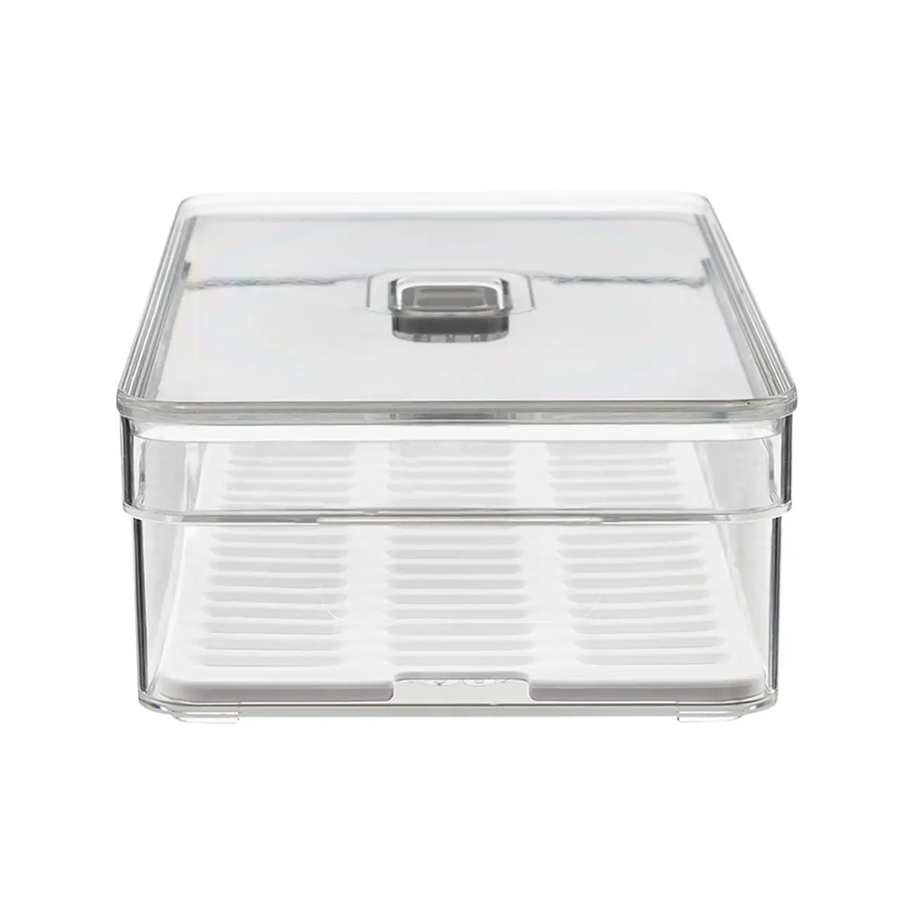ORGANIZADOR COM TAMPA 30 CM X 15 CM PRACTICAL FRIDGE - INCOLOR/BRANCO - Foto 3