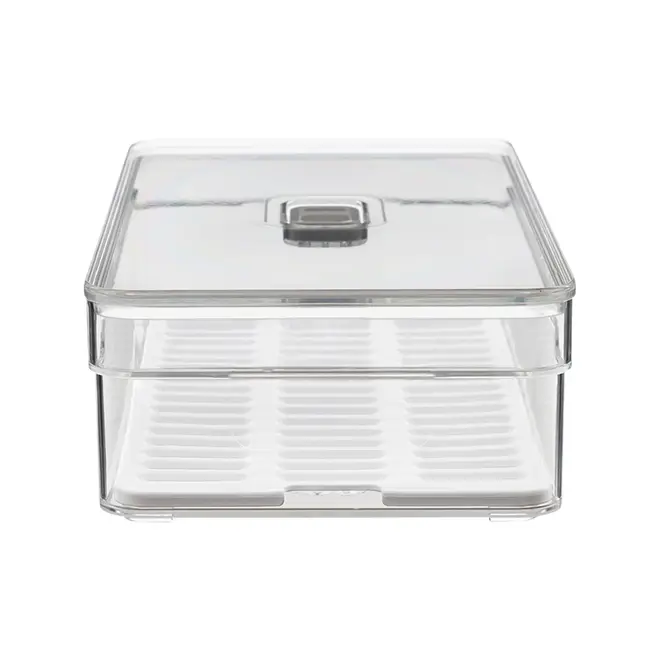 ORGANIZADOR COM TAMPA 30 CM X 15 CM PRACTICAL FRIDGE - INCOLOR/BRANCO - Foto 3