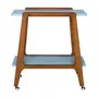 NOZES/AZUL CLARO - CARRINHO 75 CM X 44 CM WIN