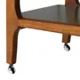 CARRINHO 75 CM X 44 CM WIN - NOZES/MUSGO - Foto 6