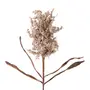 FLOR ALVORADA - BRANCO LAVADO - Foto 2