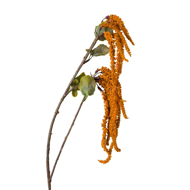 FLOR FALL - ZAFFRON/VERDE - Foto 2