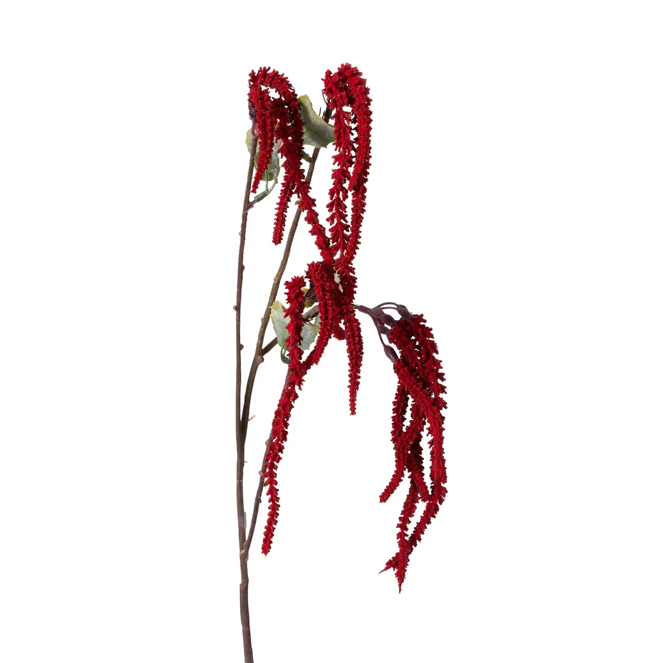 FLOR FALL - VERMELHO HINDU/VERDE - Foto 2