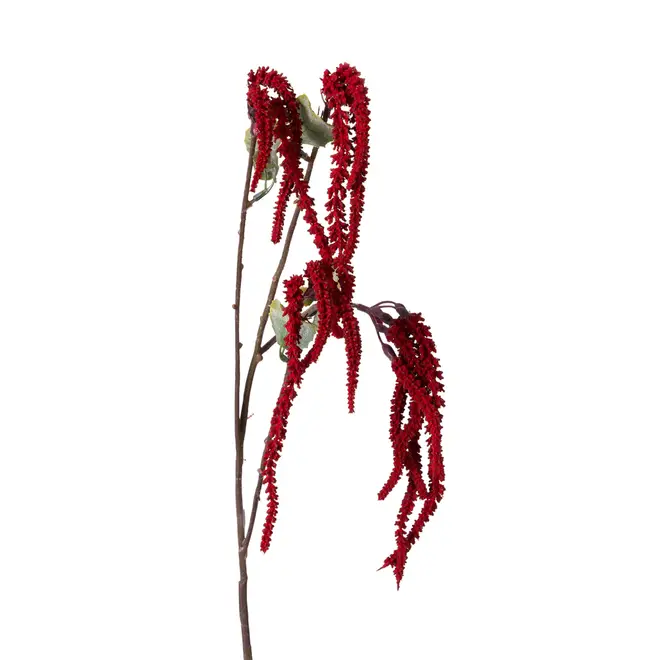 FLOR FALL - VERMELHO HINDU/VERDE - Foto 2