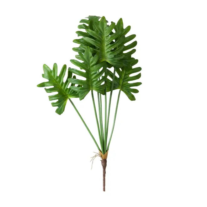 FOLHAGEM FILLO - VERDE - Foto 1