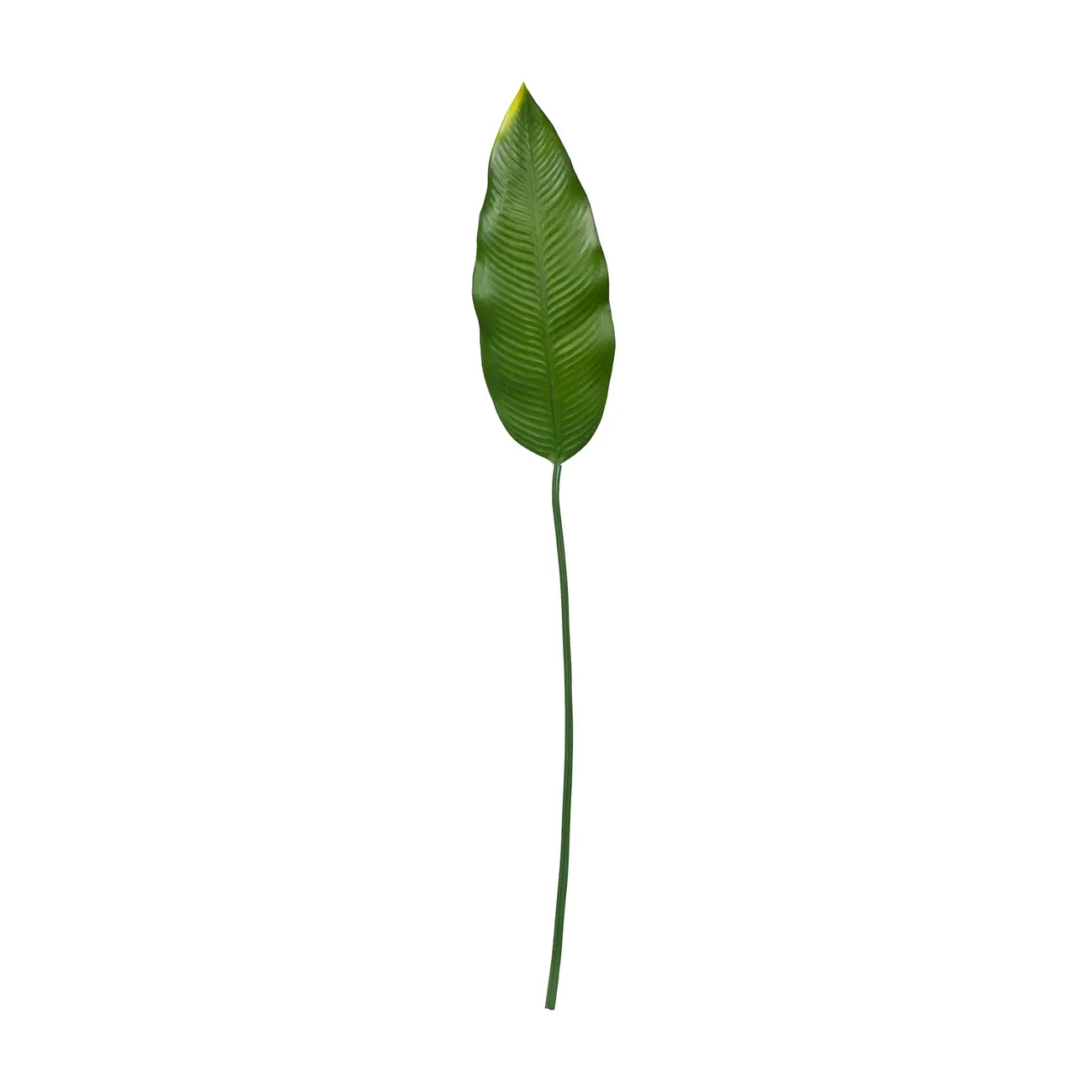 FOLHAGEM ESTRELÍCIA - VERDE - Foto 1
