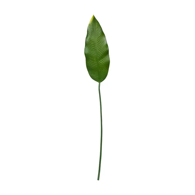 FOLHAGEM ESTRELÍCIA - VERDE - Foto 1
