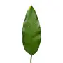 FOLHAGEM ESTRELÍCIA - VERDE - Foto 2