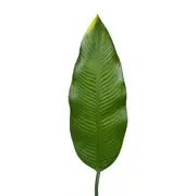 FOLHAGEM ESTRELÍCIA - VERDE - Foto 2