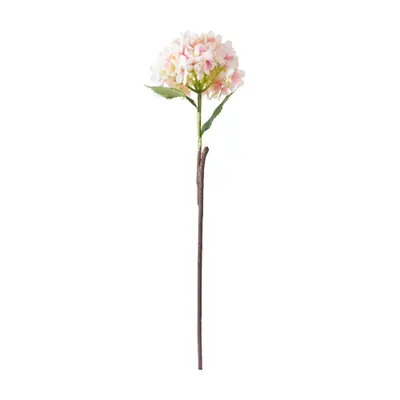 FLOR FLORENCE II HORTÊNSIA