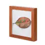QUADRO 20 CM X 20 CM FOLHA GENTILEZA - NOZES/MULTICOR - Foto 2