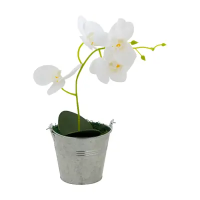 ARRANJO AYALA LILY ORQUÍDEA