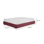 CAMA QUEEN 1,58 M SOX - VELVET COTELÊ RODONITA - Foto 6