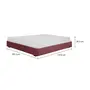 CAMA KING 1,93 M SOX - VELVET COTELÊ RODONITA - Foto 6