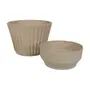 CACHEPÔ 12 CM SEMEAR - BAMBU - Foto 3