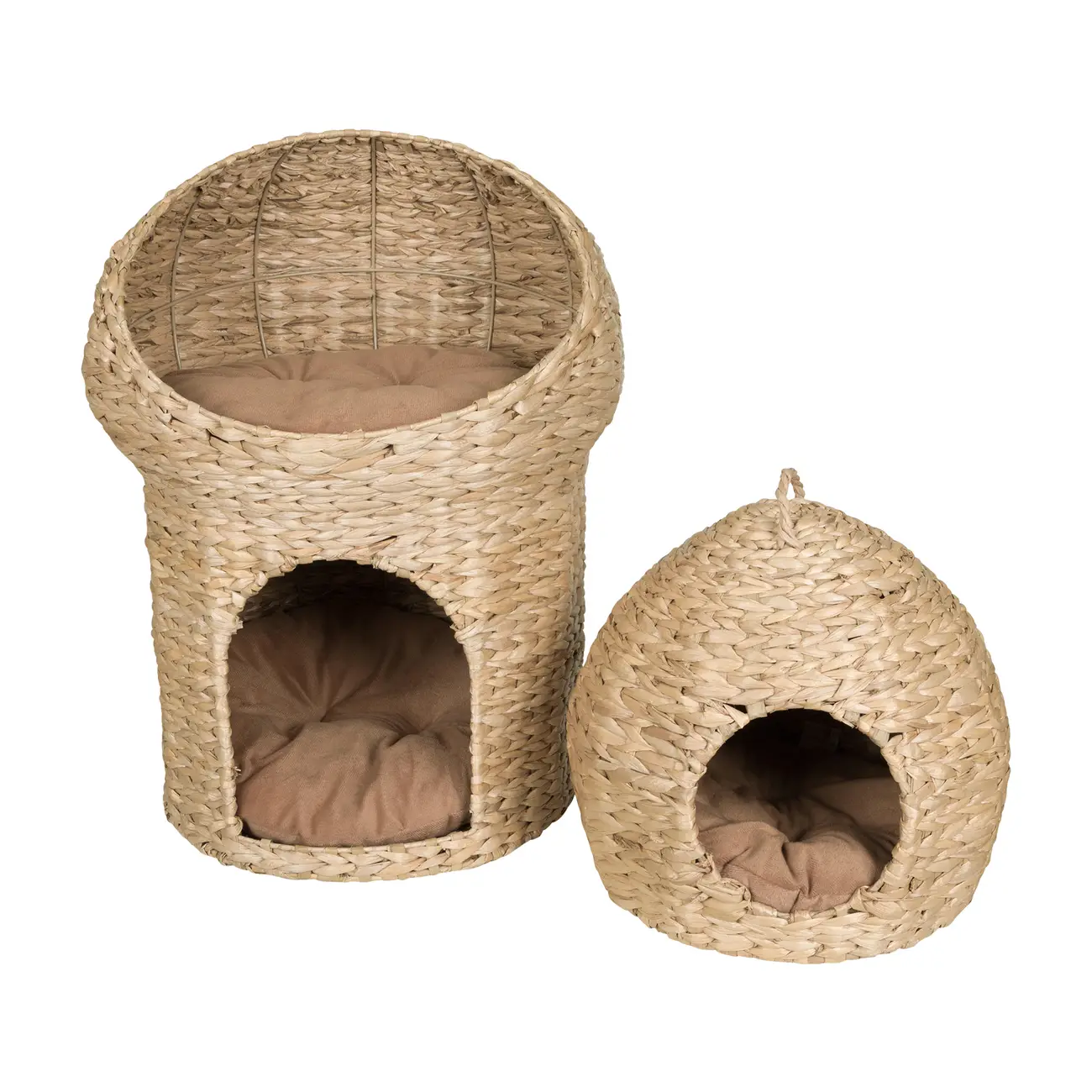 406638-617afa4d538739000131b80a.jpg
