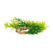 ARGOLA PARA GUARDANAPO CONJUNTO COM 4 PEÇAS TRUE - NATURAL/VERDE - Foto 2