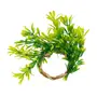 ARGOLA PARA GUARDANAPO CONJUNTO COM 4 PEÇAS TRUE - NATURAL/VERDE - Foto 3