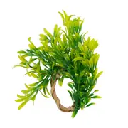 ARGOLA PARA GUARDANAPO CONJUNTO COM 4 PEÇAS TRUE - NATURAL/VERDE - Foto 4