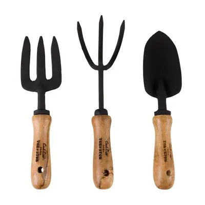 KIT PARA JARDINAGEM COM 3 PEÇAS BROMÉLIA