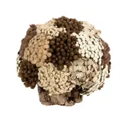 ARRANJO FLORES 18 CM GALHEIROS - FIBRA CLARA/FIBRA CASTANHA - Foto 2