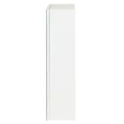 ARMÁRIO COM ESPELHO 1 PORTA 58 CM X 72 CM HIDRIX - BRANCO/PRATA - Foto 4