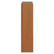ARMÁRIO COM ESPELHO 1 PORTA 58 CM X 72 CM HIDRIX - FREIJÓ/PRATA - Foto 4
