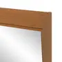 ARMÁRIO COM ESPELHO 1 PORTA 58 CM X 72 CM HIDRIX - FREIJÓ/PRATA - Foto 6